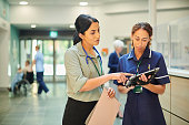 hospital colleagues checking medical records database