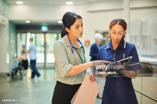 hospital colleagues checking medical records database - sns imagens e fotografias de stock