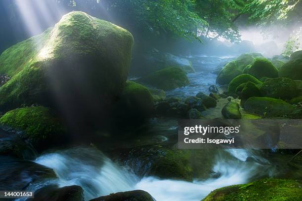 misty morning - isogawyi fotografías e imágenes de stock