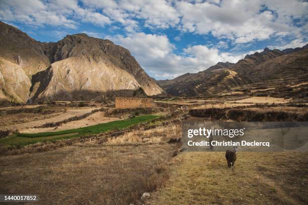 qhapac ñan - castillo(ancash) to huanucopampa (huanuco) - peru - cordillera-administrative-region stock pictures, royalty-free photos & images