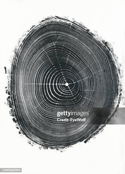cross section relief print of tree rings - tree ring stock pictures, royalty-free photos & images