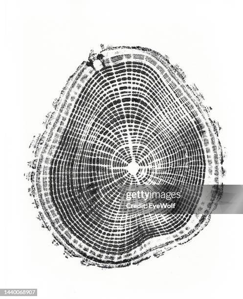 cross section relief print of tree rings - groeiring stockfoto's en -beelden