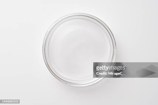 empty petri dish closed covered with lid - petri dish stock-fotos und bilder