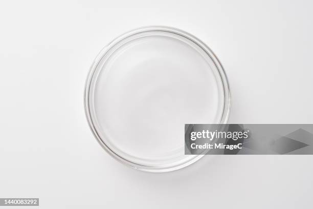 empty petri dish closed covered with lid - boîte de pétri photos et images de collection