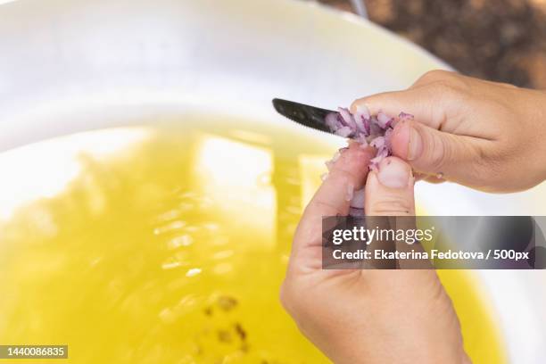 woman hands chopping red onion over a big frying pan with olive oil close up - cutting red onion stock pictures, royalty-free photos & images