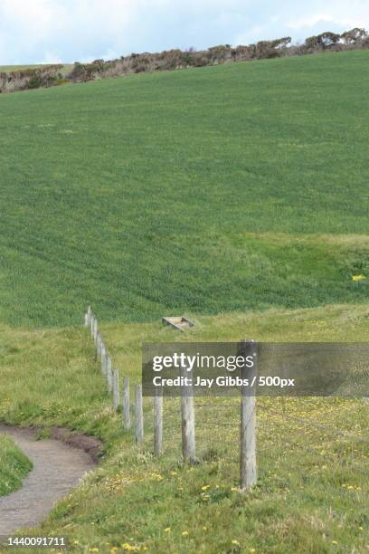 Wait Ping Waitpinga South Australia Photos and Premium High Res Pictures - Getty ...