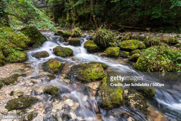scenic view of waterfall in forest,gorges du bruyant,france - vercors photos et images de collection