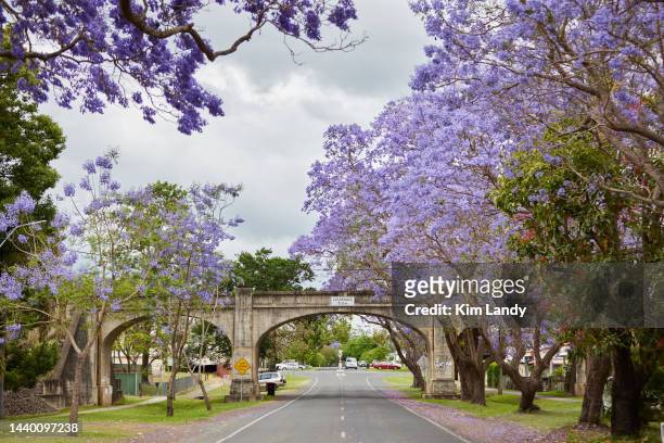Jacaranda trees are seen on November 5, 2022 in Grafton, Australia. The Grafton Jacaranda festival is an annual 10-day celebration of the blossoming...