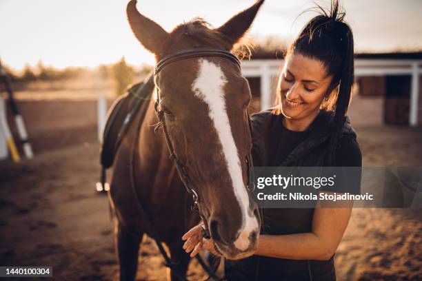 young woman portrait with her horse - horse family stock pictures, royalty-free photos & images