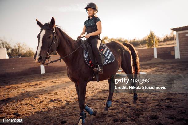 girl riding a horse - dressage stock pictures, royalty-free photos & images