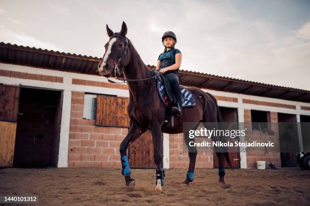 mädchen auf einem pferd - man riding horse stock-fotos und bilder