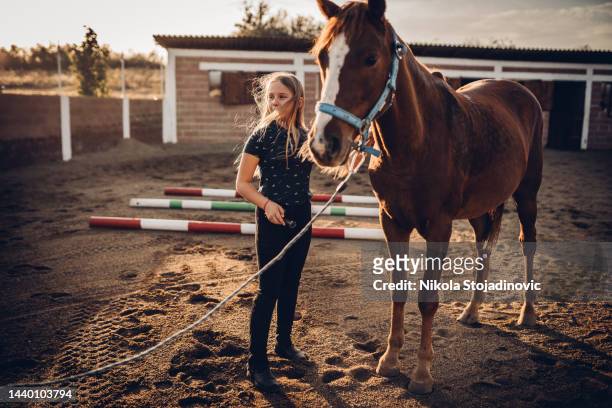 una niña roza su caballo - racing horses fotografías e imágenes de stock