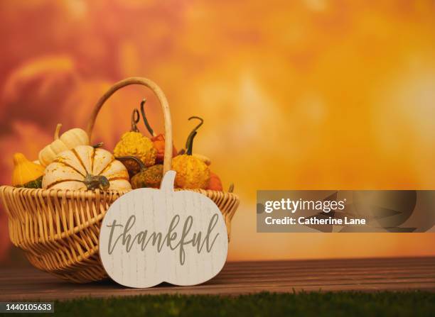 thanksgiving and fall background with basket of miniature pumpkins and a sign reading thankful. space for copy - dankbaarheid stockfoto's en -beelden