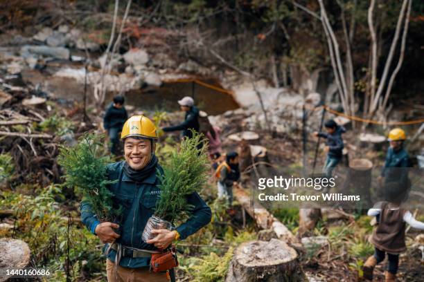 forester with seedlings at a volunteer tree planting and reforestation event - asian volunteer stock pictures, royalty-free photos & images