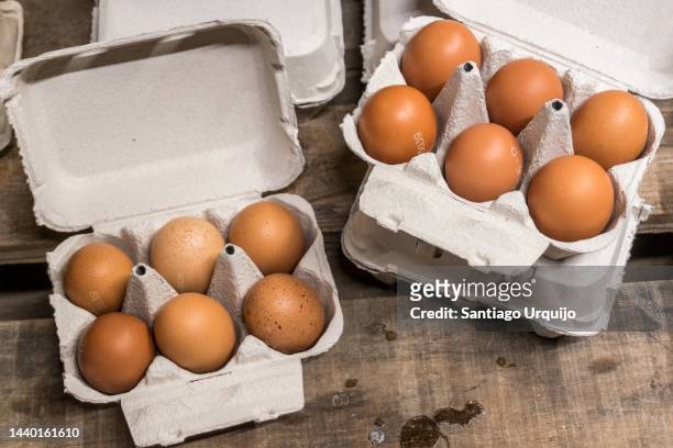 organic eggs on cardboard boxes - eierdoos stockfoto's en -beelden