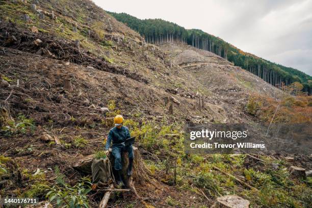mid adult man using a digital tablet while planting new tree seedlings in a logging site - ontbossing stockfoto's en -beelden
