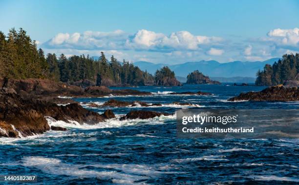 west coast coastal landscape, ucuelet peninsula, vancouver island, vancouver, british columbia, canada - pacific rim national park reserve stock pictures, royalty-free photos & images