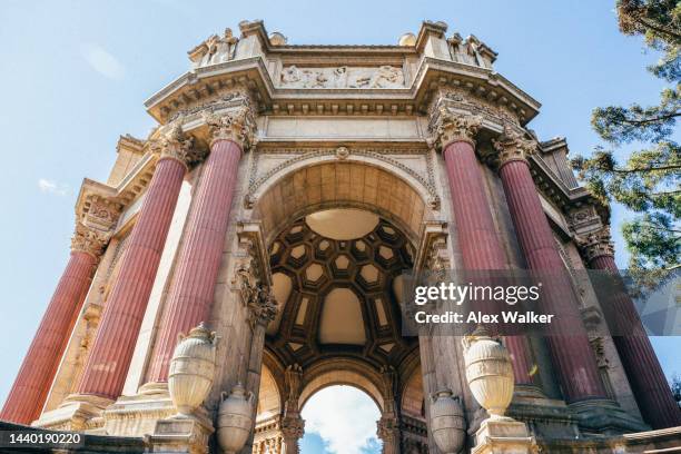 palace of fine arts, san francisco - levend organisme stockfoto's en -beelden