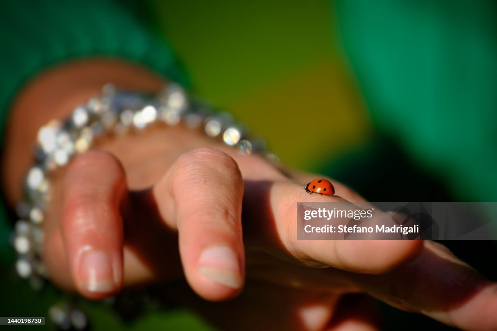Ladybug brings red luck on the girl's finger