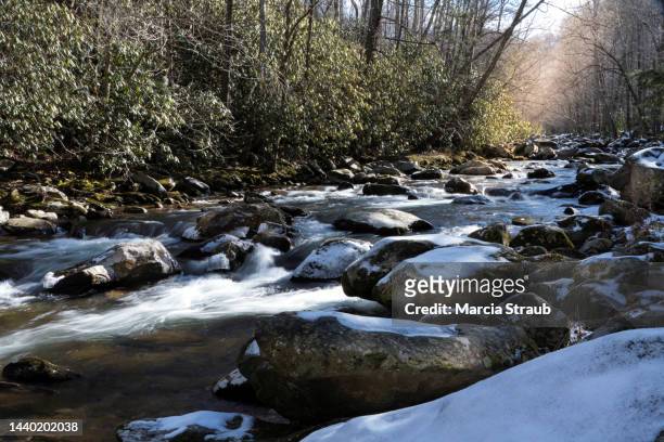 flowing snowy  stream in winter - appalachia stock-fotos und bilder