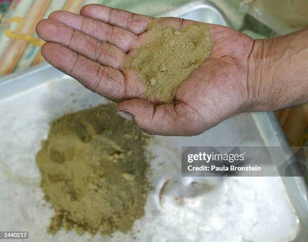 Mohammed Shah holds the powder from his marijuana crop from last year which he will make into hash by cooking it over a low fire October1, 2002 in...