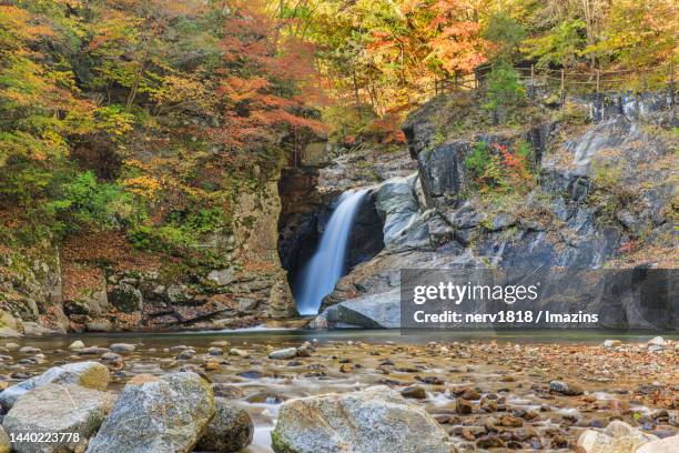Inje Gun Photos and Premium High Res Pictures - Getty Images