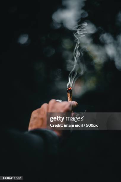 cropped hand of man holding burning cigarette - 大麻香煙 個照片及圖片檔