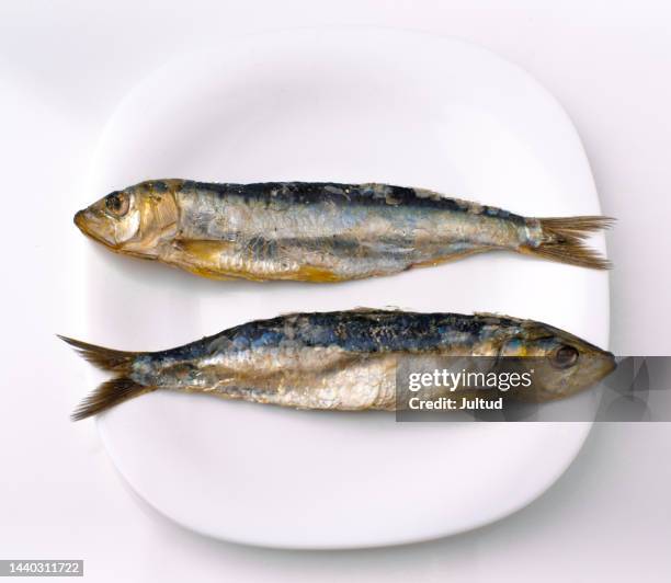 herring sardines on a white plate, on a white background - dried herring stock pictures, royalty-free photos & images