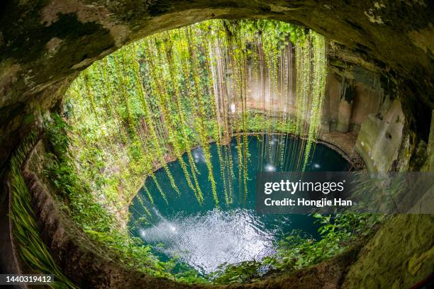 sinkhole in mexico. - cenote bildbanksfoton och bilder