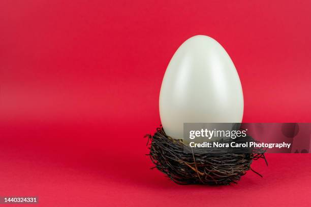 egg on a bird nest - birds nest stock pictures, royalty-free photos & images