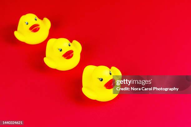 three yellow rubber duck on red background - rubber duck ストックフォトと画像