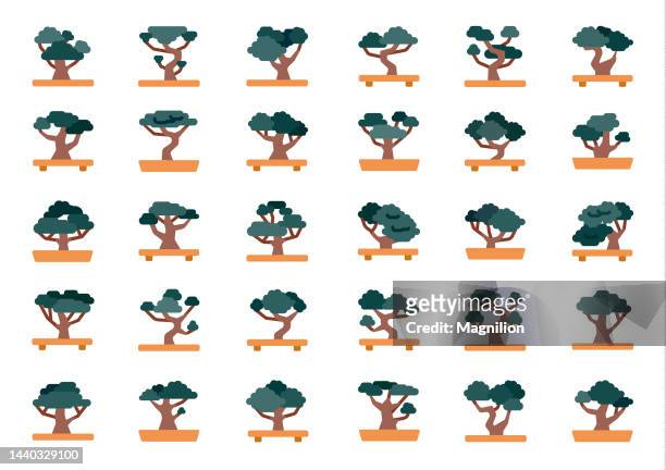 stockillustraties, clipart, cartoons en iconen met bonsai tree flat icons set - acacia tree