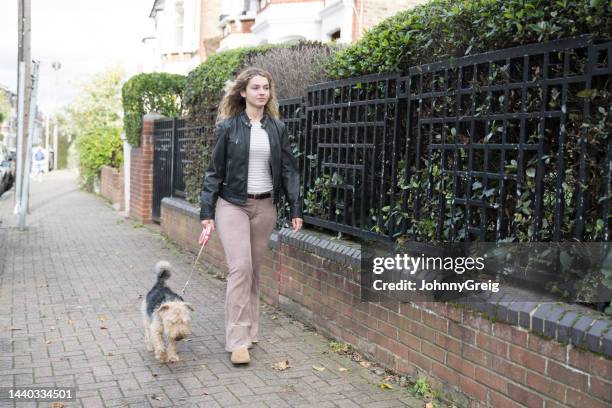 young woman walking welsh terrier in residential district - long leash stock pictures, royalty-free photos & images