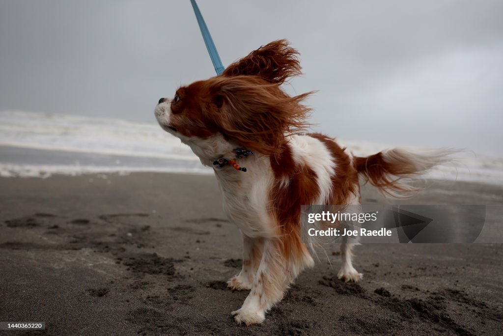 Tropical Storm Nicole Bears Down On Florida's Atlantic Coast