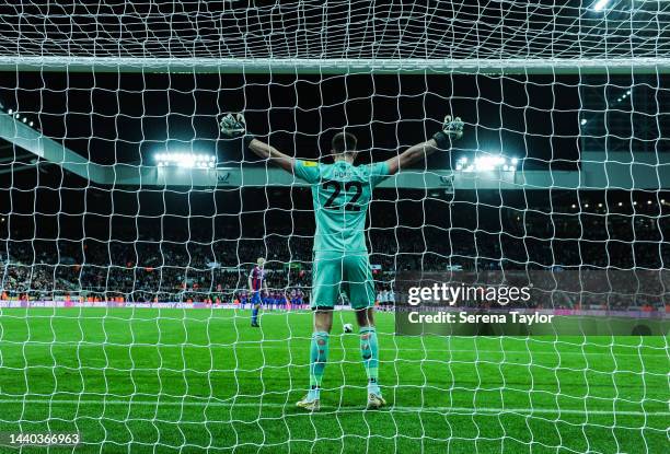 Newcastle United Goalkeeper Nick Pope during the Carabao Cup Third Round match between Newcastle United and Crystal Palace at St James' Park on...