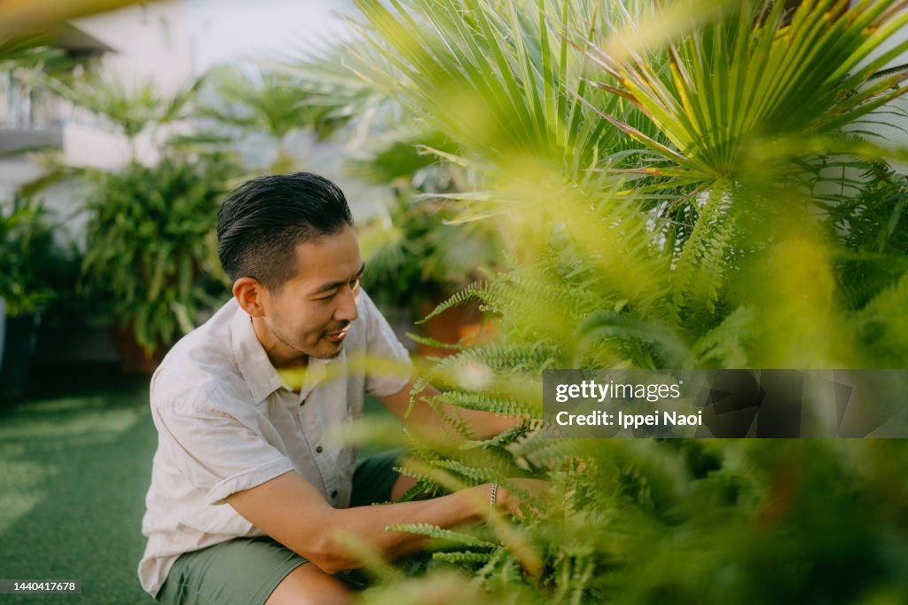Man gardening on rooftop garden in city