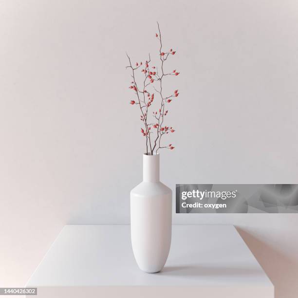 white vase with rose hip brunch cube. abstract geometric shapes.  white 3d rendering objects. minimalism japandi or scandinavian still life style - vaas stockfoto's en -beelden