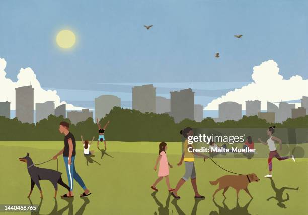 people walking dogs, exercising and relaxing in sunny, summer city park - hundespaziergang stock-grafiken, -clipart, -cartoons und -symbole