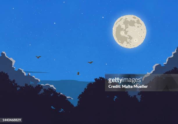 birds flying in night sky with bright, full moon - lighting technique stock illustrations