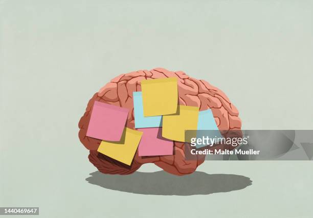 adhesive notes covering brain - erinnerung stock-grafiken, -clipart, -cartoons und -symbole