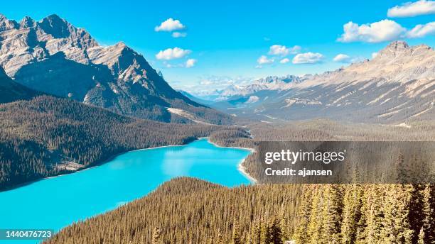 peyto lake in fall with the beautiful view of this magnificent lake - peyto lake stock pictures, royalty-free photos & images