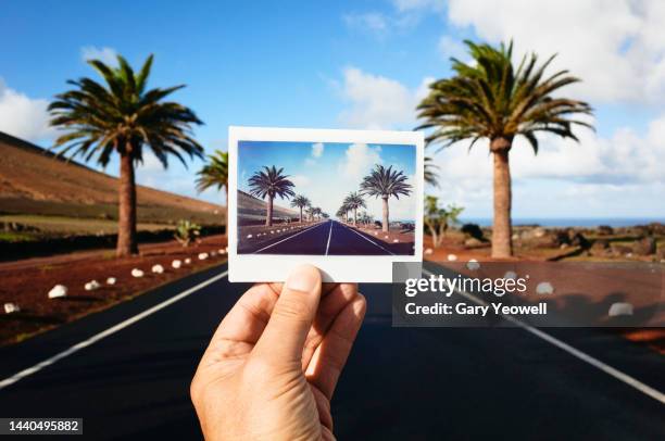 man holding an instant photo in front of a road lined with palm trees - fotografie benodigdheden stockfoto's en -beelden