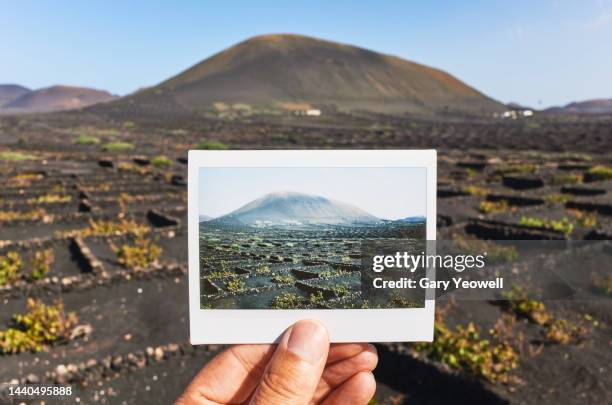 man holding an instant photo in front of vineyards in volcanic landscape - spain scenic stock-fotos und bilder