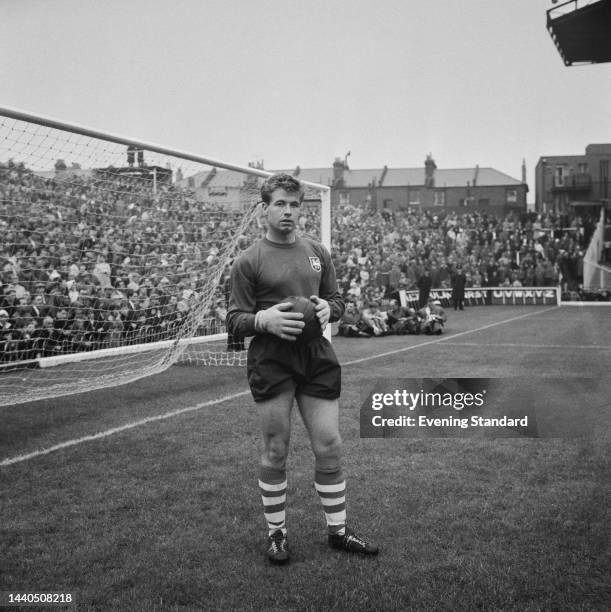 Fred Else 100 Fred Else Photos & High Res Pictures - Getty Images