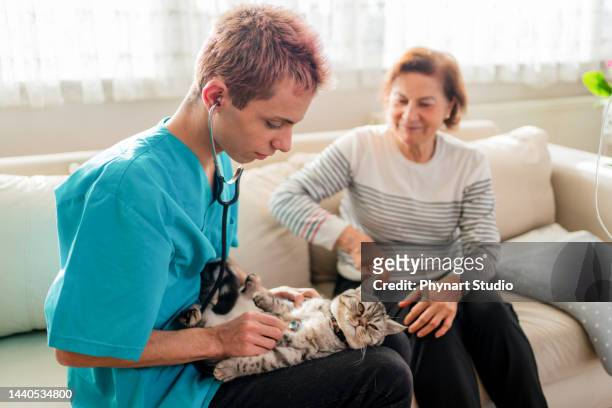 young male veterinarian visiting  cat at home and examining her with stethoscope - hairy old man stockfoto's en -beelden