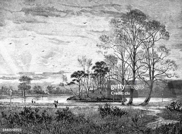 clapham common, large triangular urban park in clapham, south london - clapham common stock illustrations