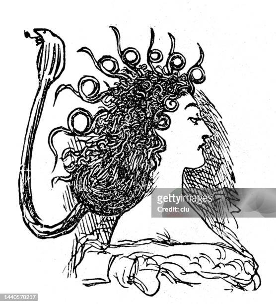 young woman with snake hair style, side view - bizarre fashion stock illustrations