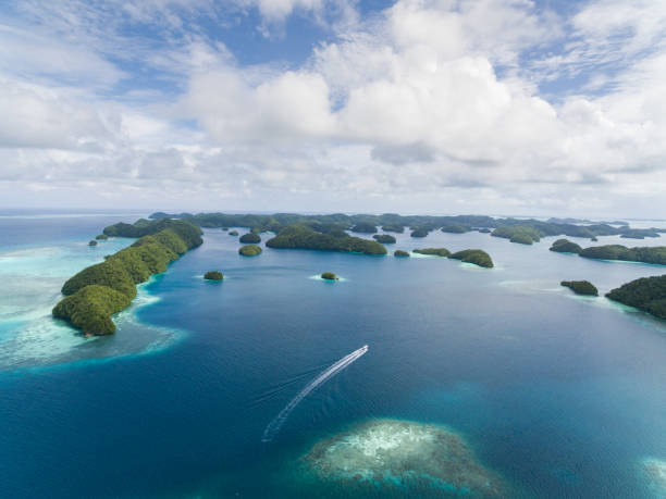 Diving Chuuk Lagoon: Exploring the World's Greatest WWII Ghost Fleet