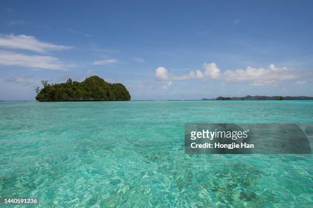 palau's green rippled sea and blue sky with white clouds. - palau photos et images de collection