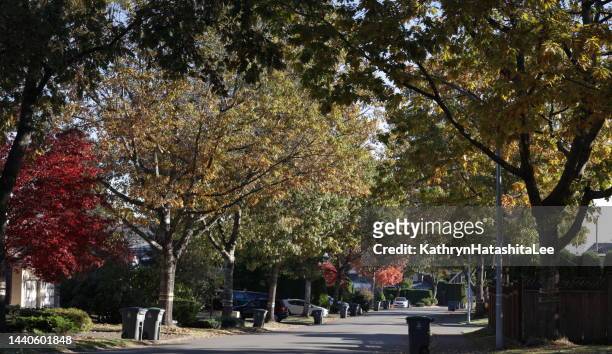 95th avenue, surrey, canada, in autumn - surrey wagons stock pictures, royalty-free photos & images
